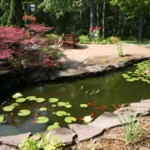 Rectuangular water garden